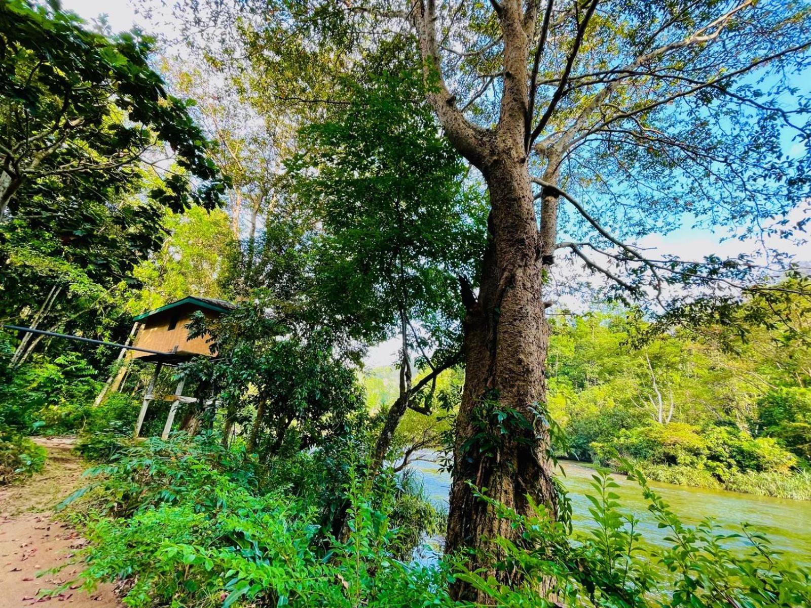 The Magical Tree House Apartment Yatiyantota Exterior photo